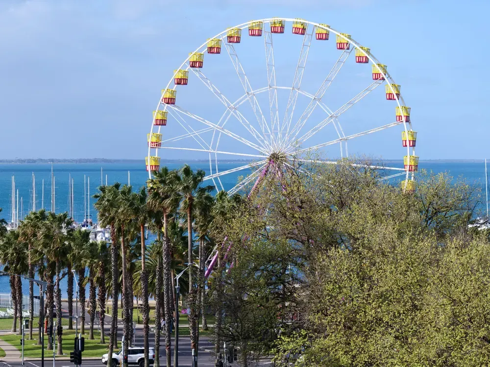 The Geelong waterfront on Corio Bay, with the Ferris wheel above a palm-lined foreshore and the marina beyond